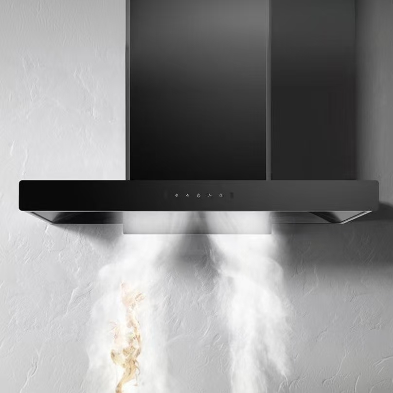 Kitchen Appliances High End - Hotte aspirante haut de gamme de