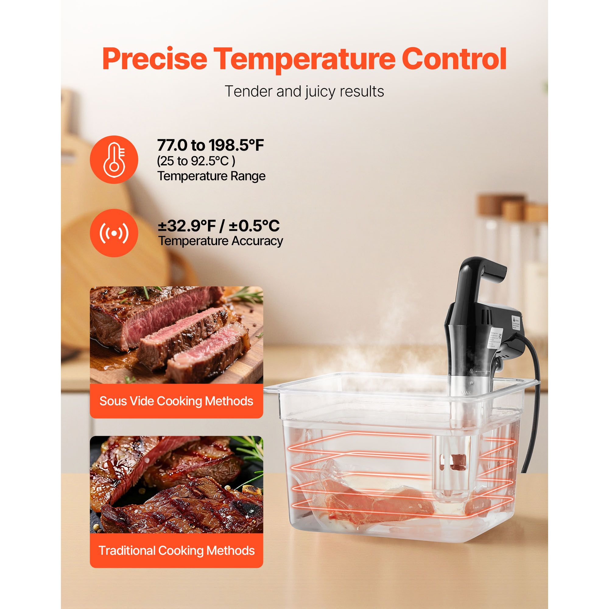 Cuisinière de précision sous v - Sous Vide Immersion avis et prix