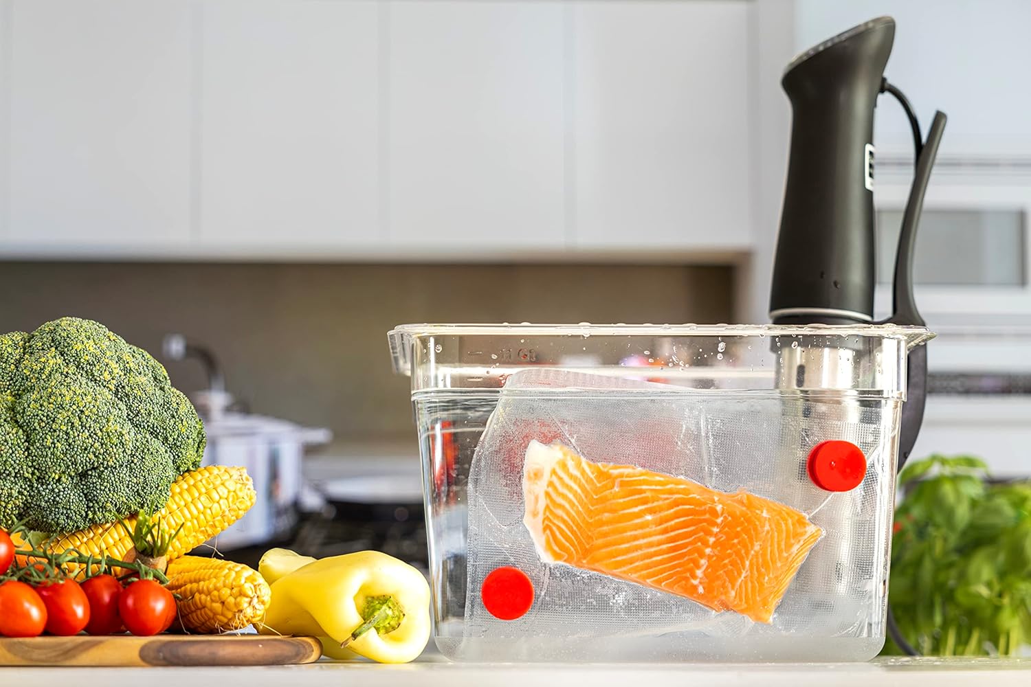 Lot de 8 aimants sous vide ave - Sous Vide Immersion avis et prix