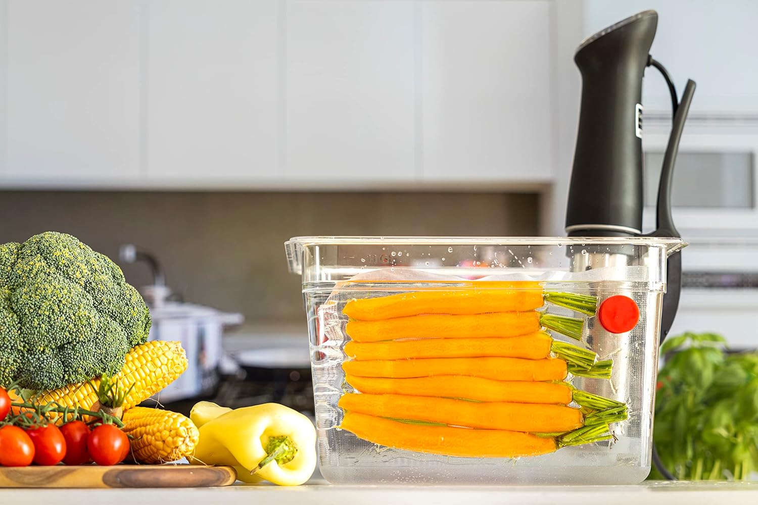 Lot de 8 aimants sous vide ave - Sous Vide Immersion avis et prix